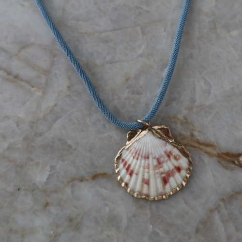 Naples Shell Necklace