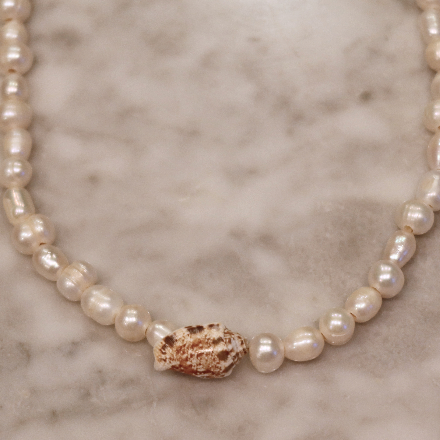 The Shell Strand #1
